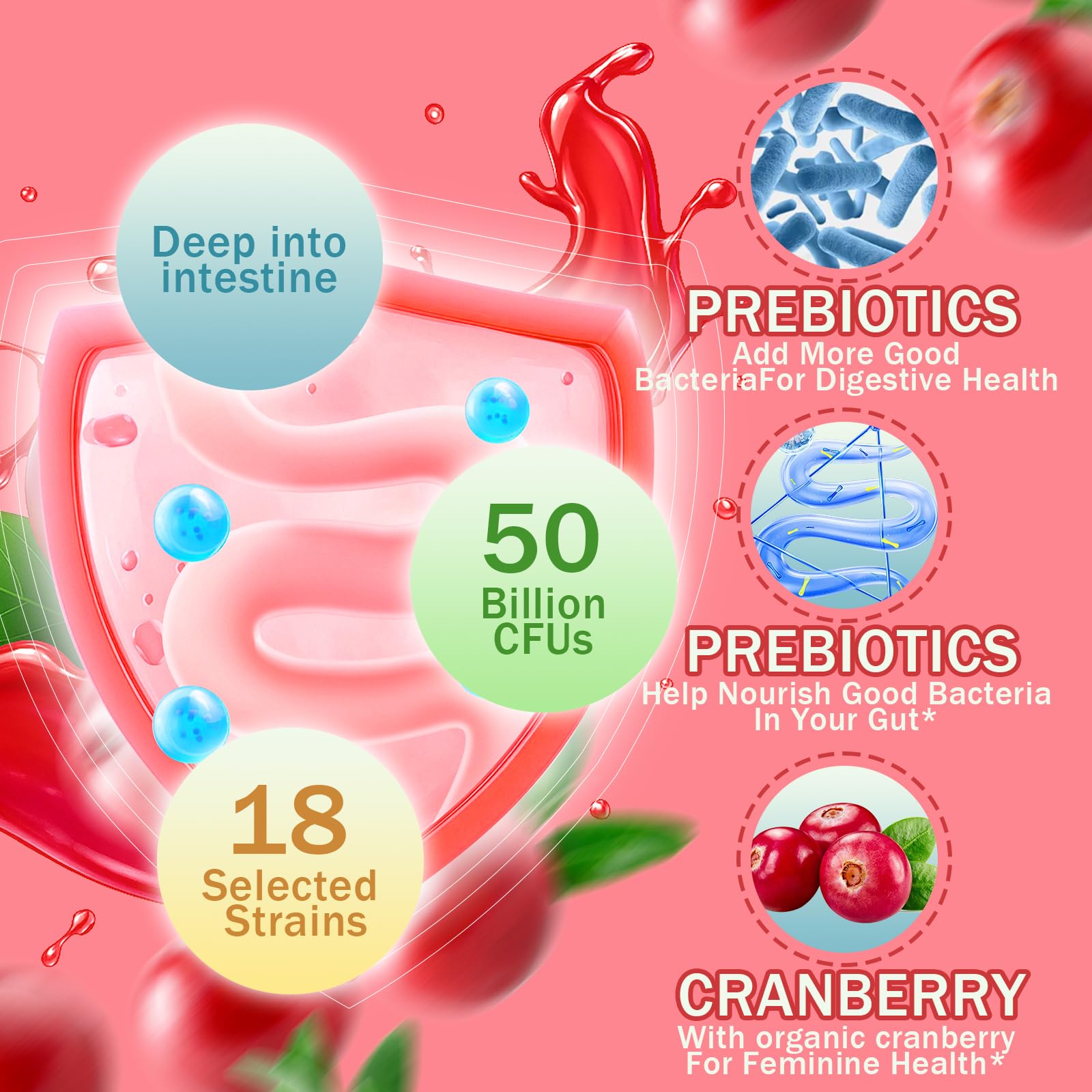 ZEYARUIBO cranberry ingredients highlighting urinary and immune support.