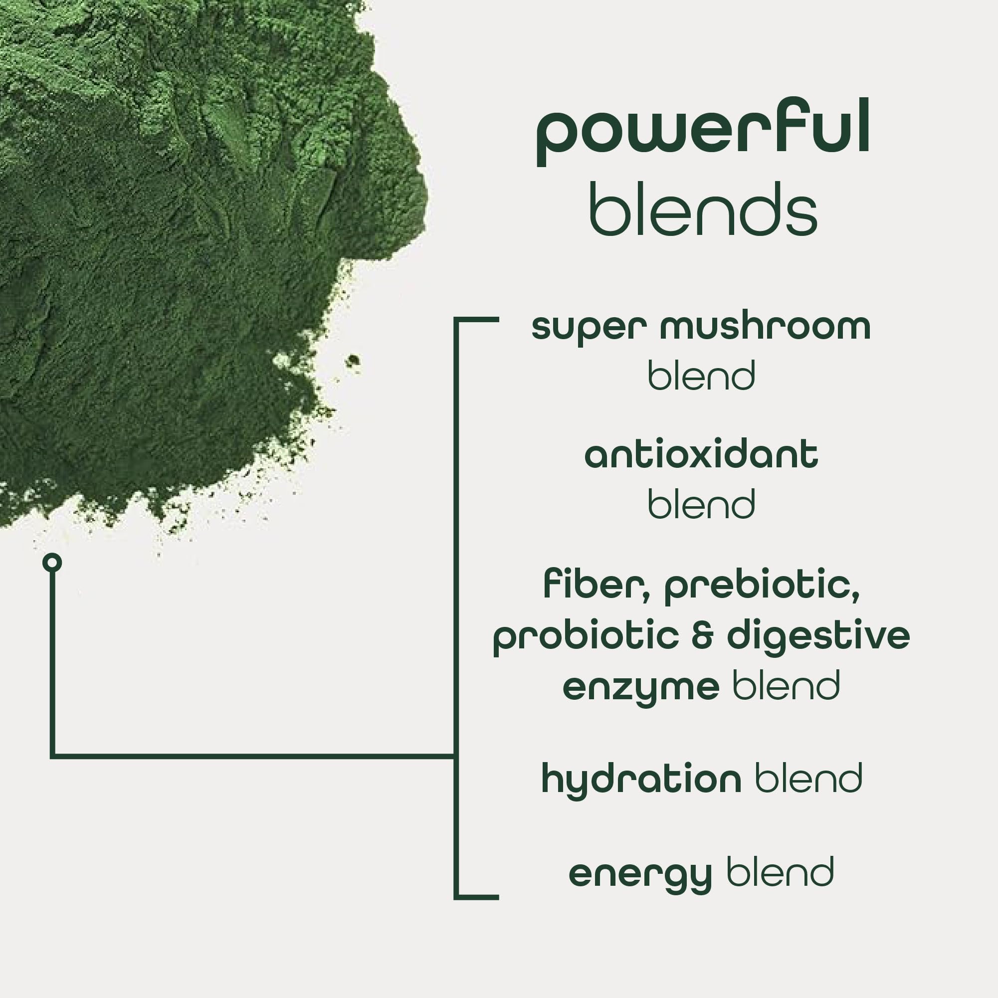 Digestive enzyme, prebiotic, and probiotic blend for gut support.