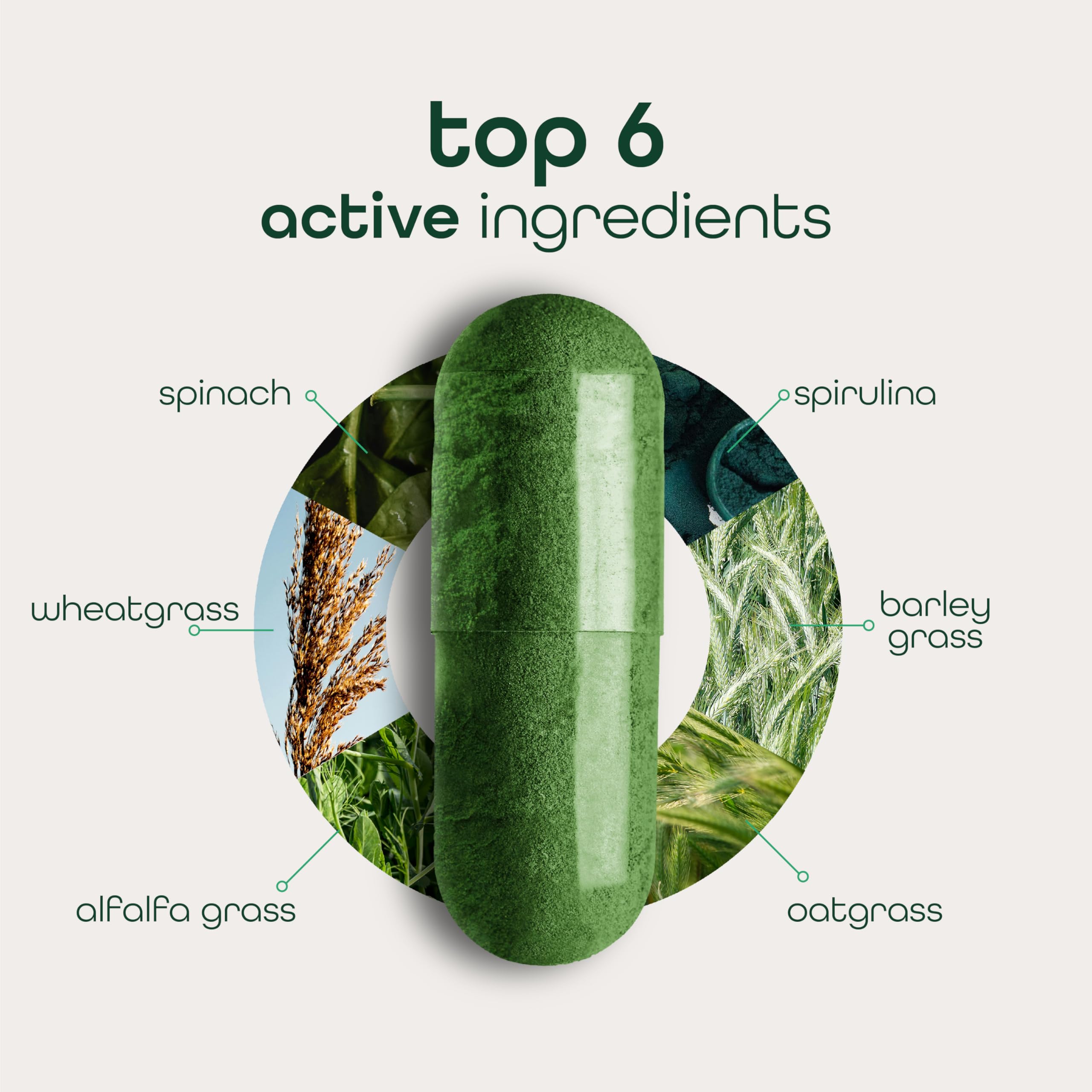 Zena Nutrition Organic Super Greens capsules for on-the-go daily nutrition