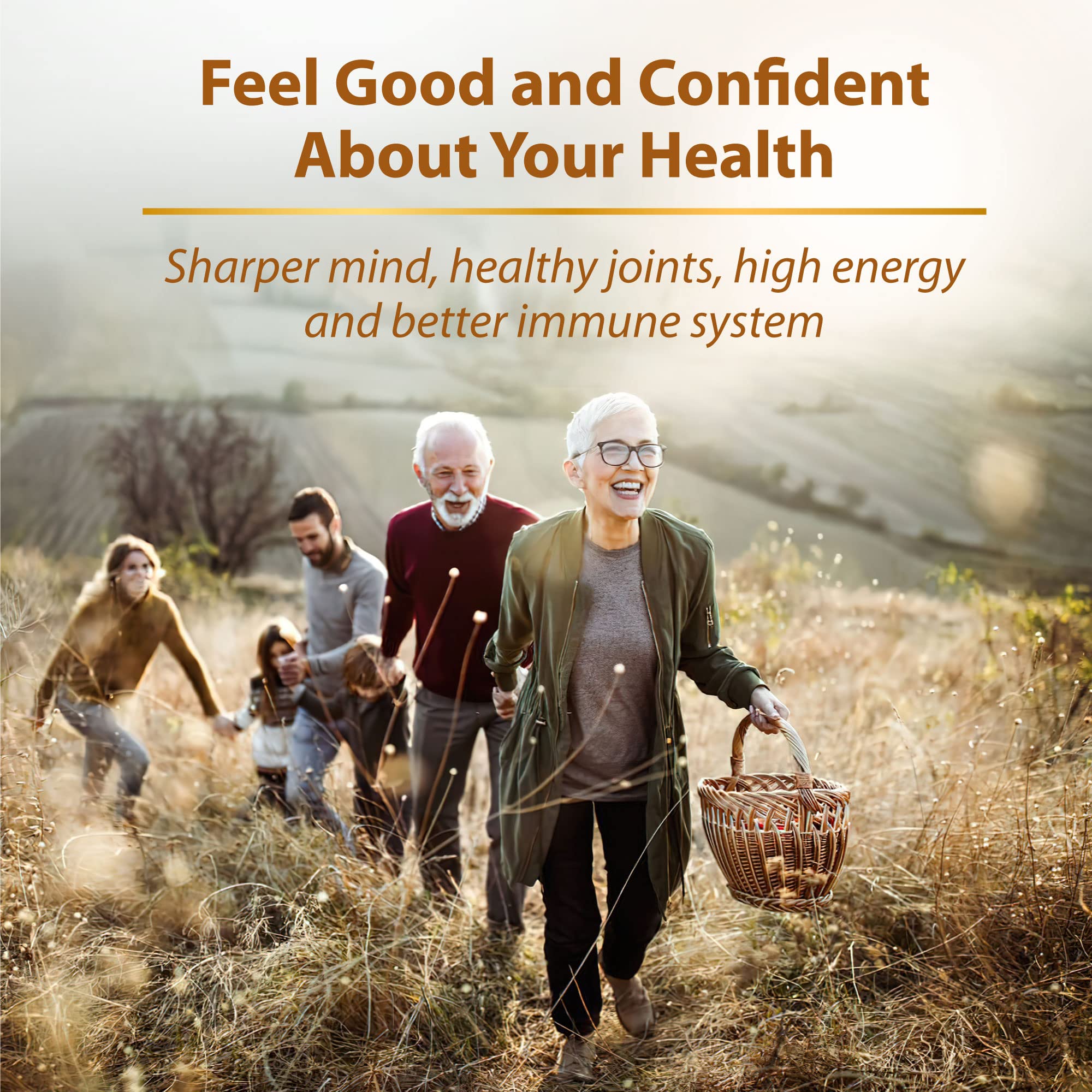 Zenith Labs Omega 379 bottle label highlights omega 3 7 9 blend benefits.
