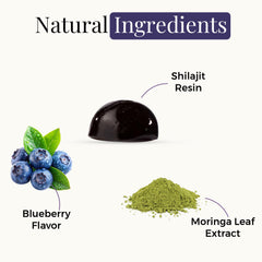 ZENITH RITUAL Shilajit Moringa ingredients label emphasizes clean, plant-based formula.