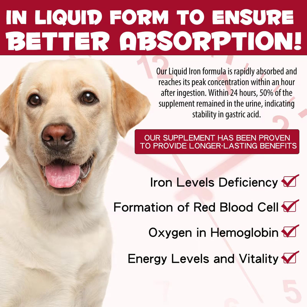 Zenpaws Liquid Iron supports daily activity with a gentle energy boost.