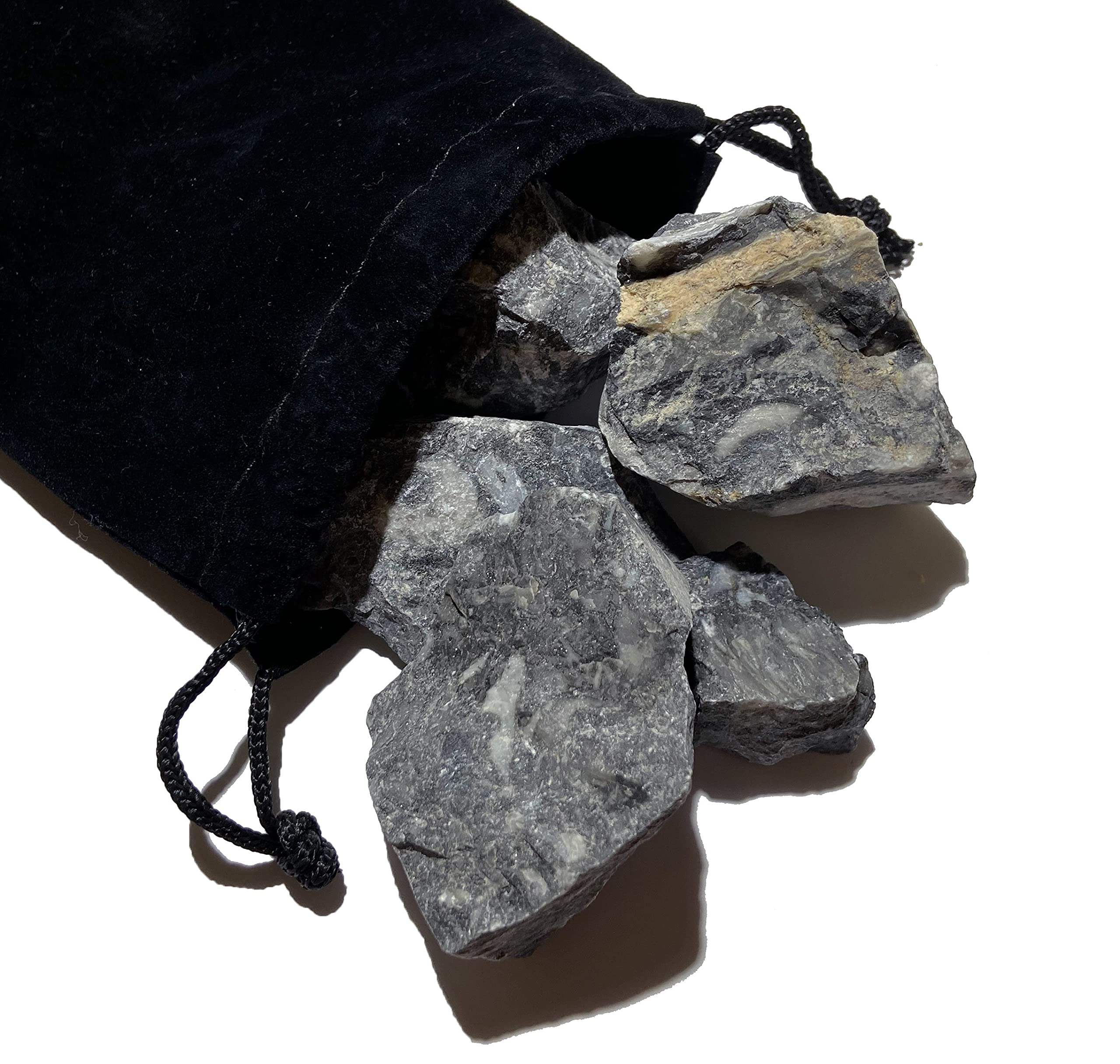 Zentron Rough Fossil Stone brown and grey pieces ideal for jewelry making.