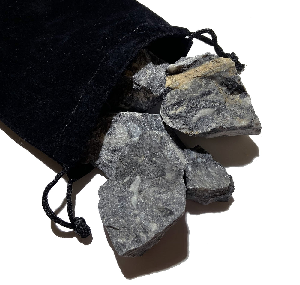 Zentron Rough Fossil Stone brown and grey pieces ideal for jewelry making.