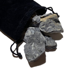 Zentron Rough Fossil Stone brown and grey pieces ideal for jewelry making.