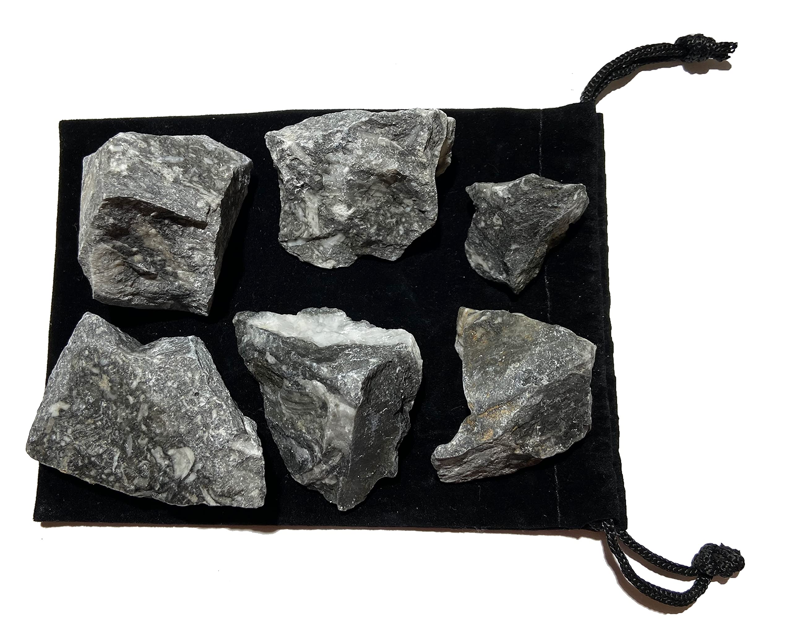 Zentron Rough Fossil Stone for cabbing and tumbling projects.