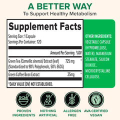 Closeup of Zenwise Health green tea extract capsules highlighting focus-boosting potential