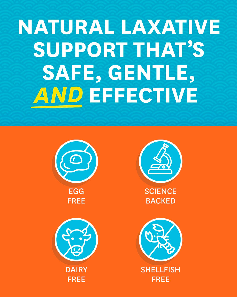 Zenwise Health digestive health probiotic stacks image conveys live CFU benefit and microbiota support.