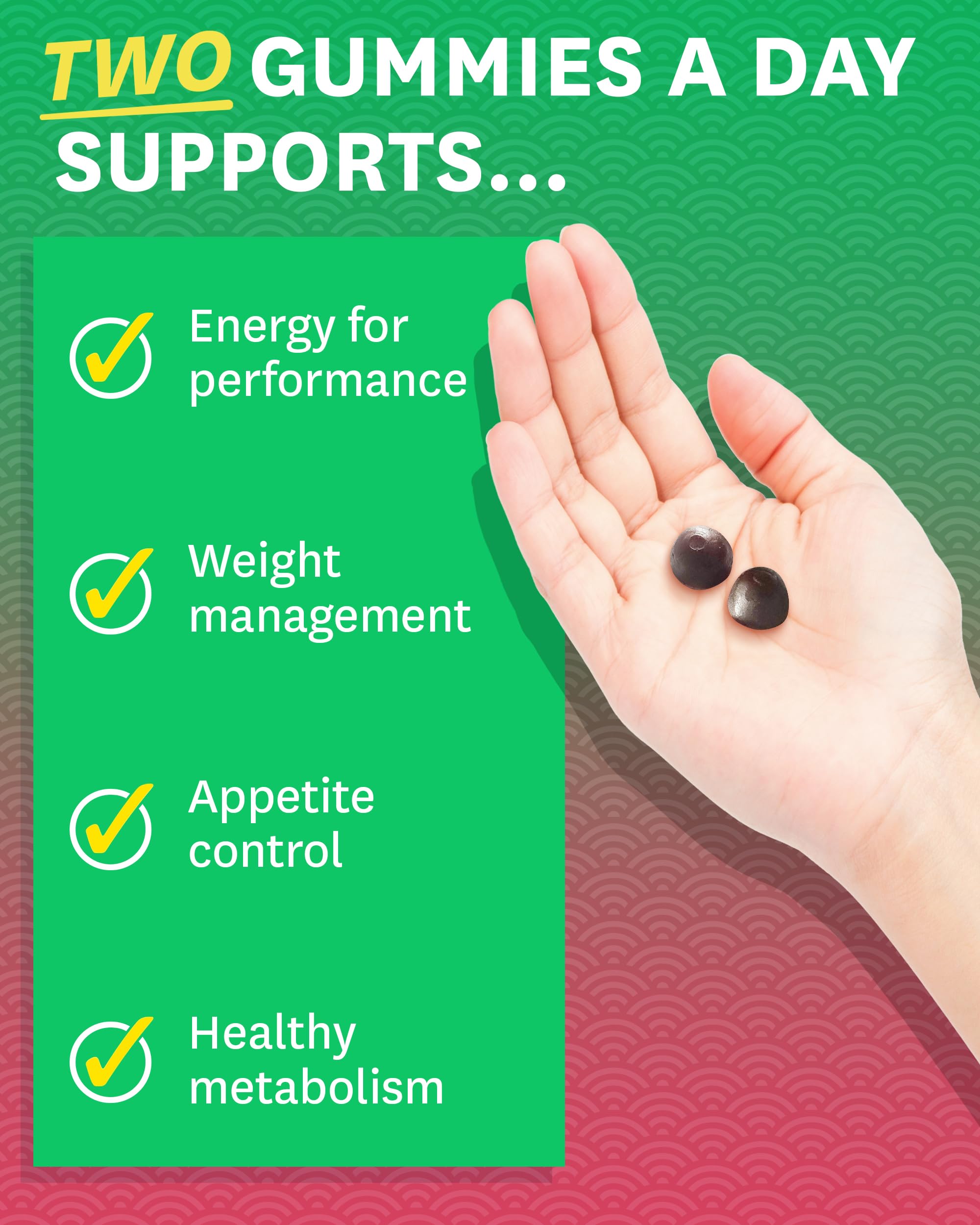 Zenwise Health Green Tea Gummies ingredients closeup featuring green tea extract for metabolism support