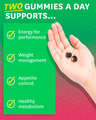 Zenwise Health Green Tea Gummies ingredients closeup featuring green tea extract for metabolism support