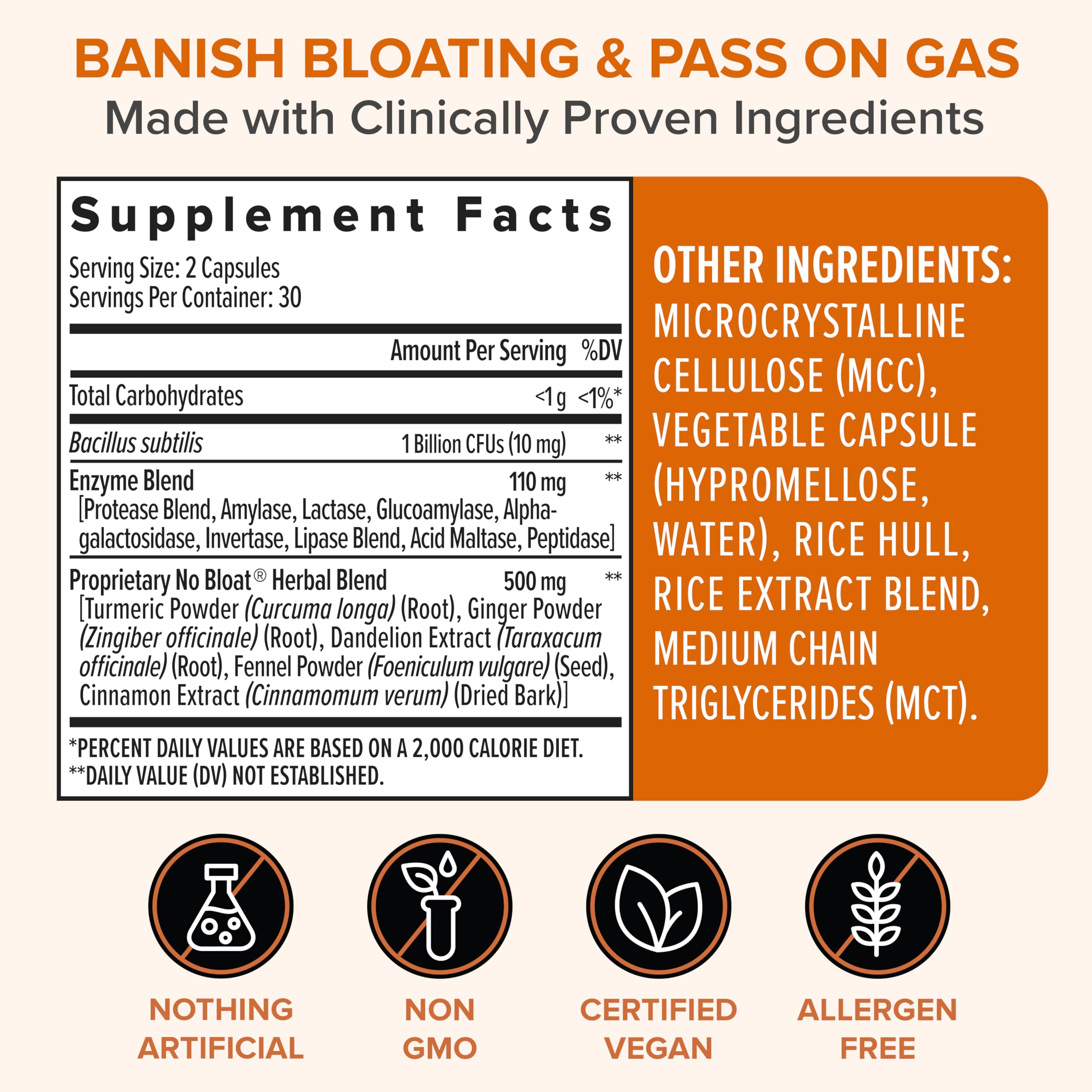 Zenwise No Bloat probiotic blend graphic illustrating gut support and nutrient absorption