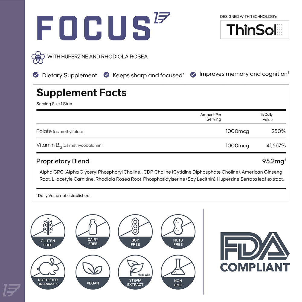 ZEPH Focus daily-use scene demonstrates convenient daytime support.