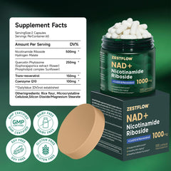 ZESTFLOW NAD Supplement liposome-illustration ilustra absorción mejorada