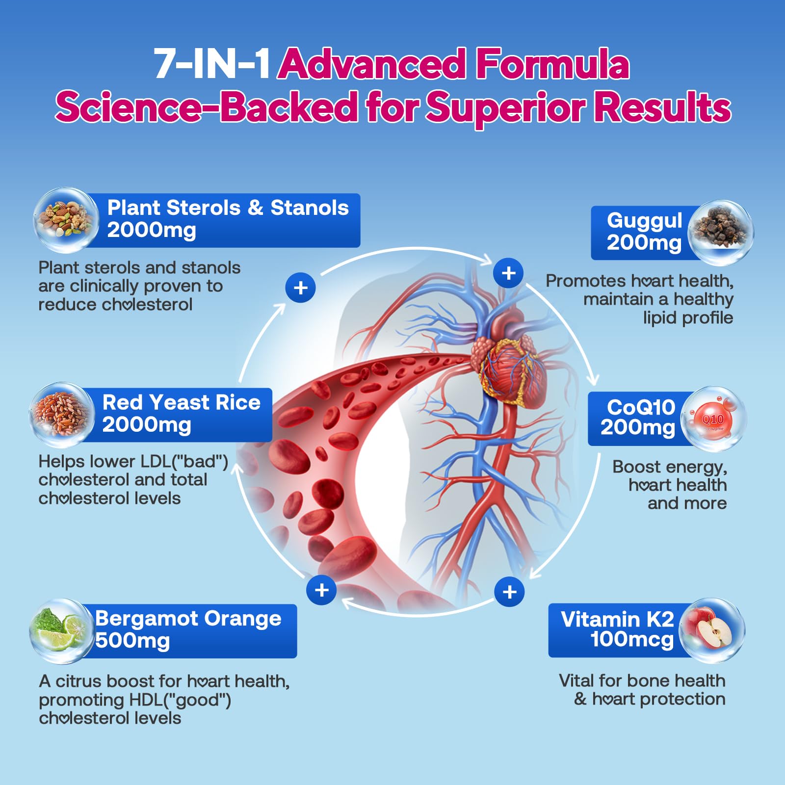 Zetelixia cholesterol gummies bottle back detailing ingredients and guidance.