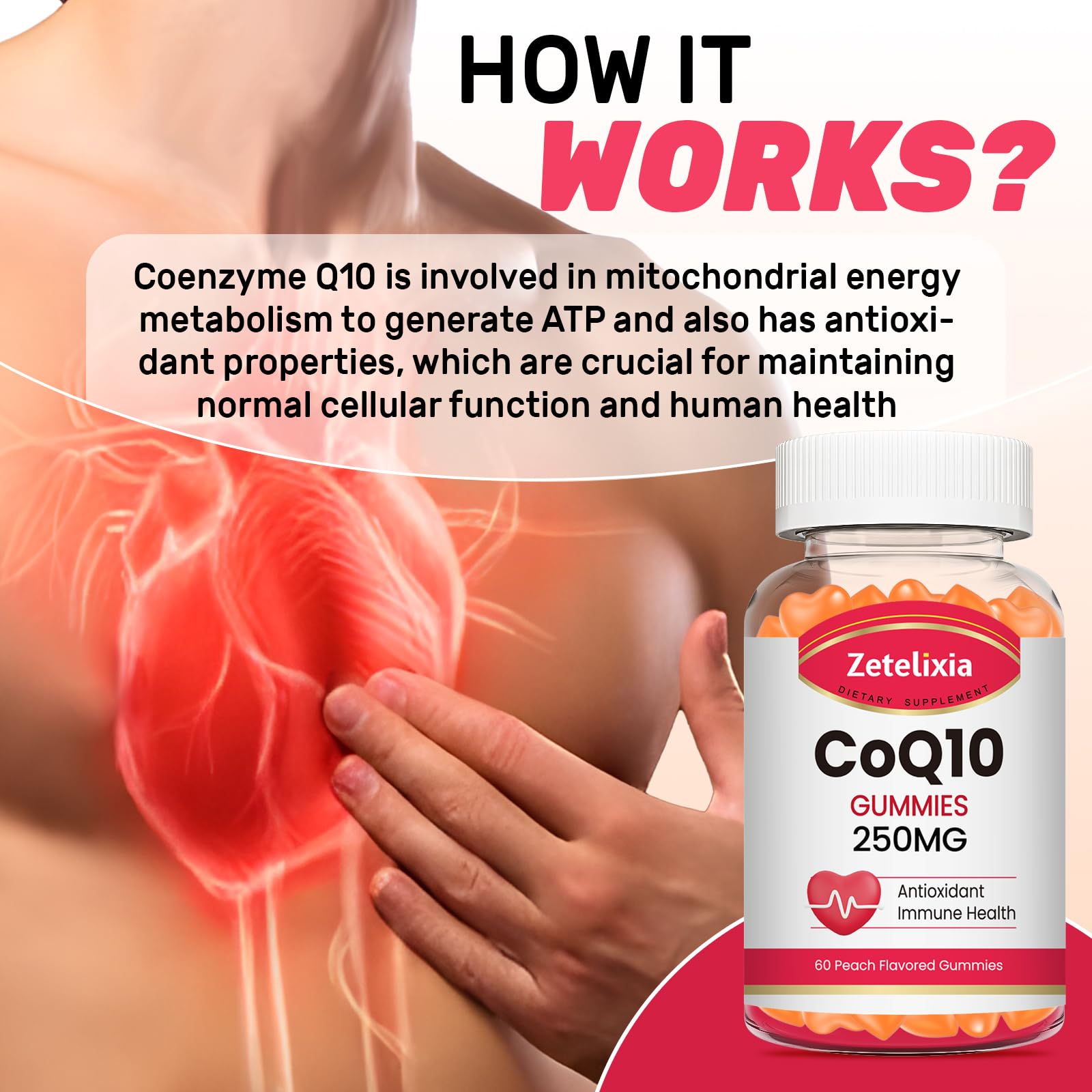 Zetelixia CoQ10 gummies nutrition label close-up for transparency and trust