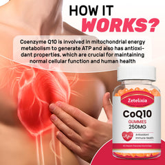 Zetelixia CoQ10 gummies nutrition label close-up for transparency and trust