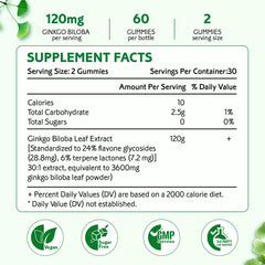 Zetelixia Ginkgo Biloba Gummies berry close-up showing flavor and texture.