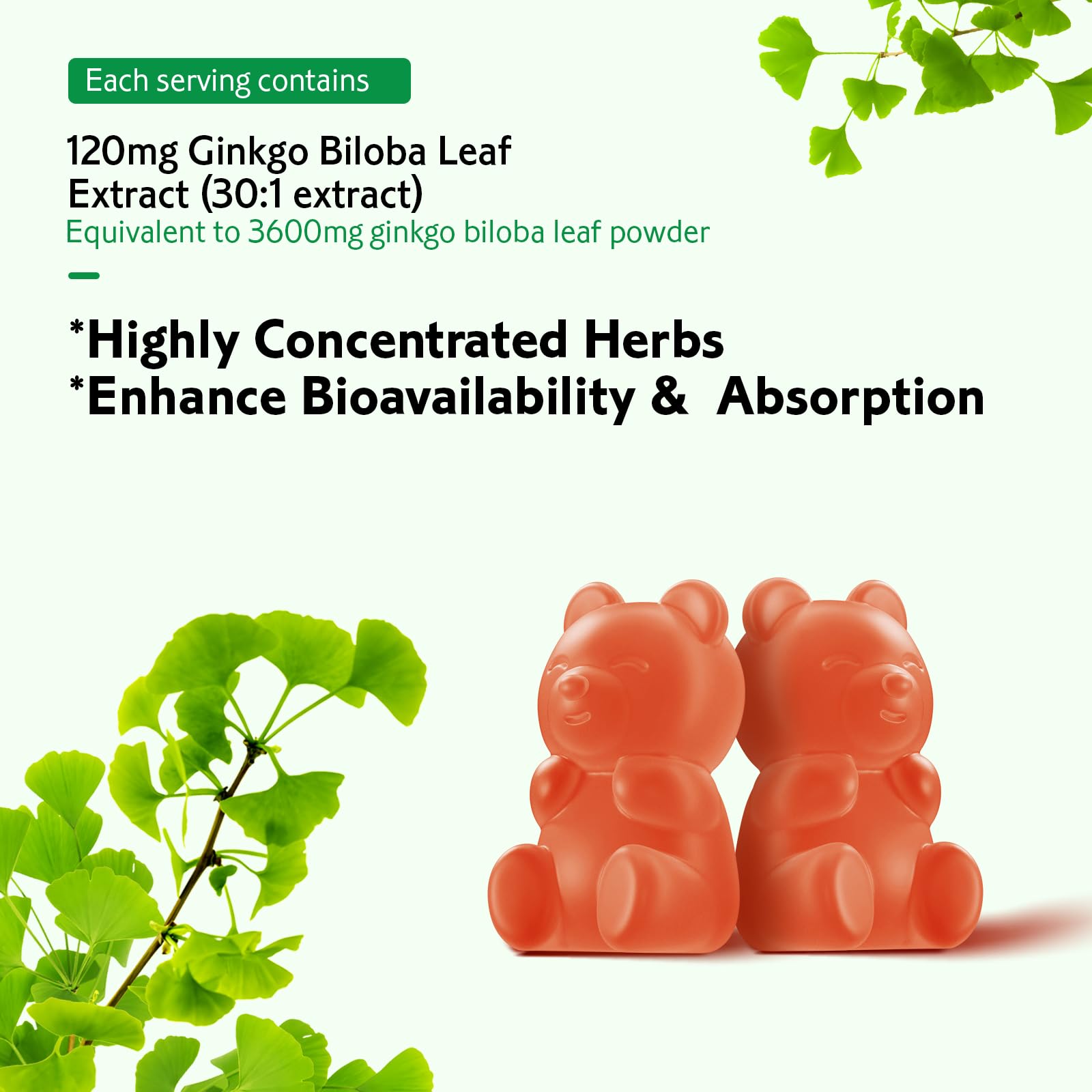Zetelixia Ginkgo Biloba Gummies vegan ingredients label highlights clean sourcing.