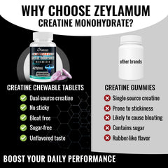 Zeylamum Creatine Chews liposomal illustration signaling fast absorption