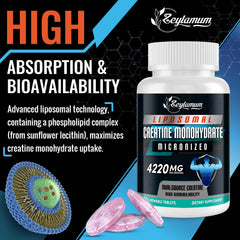 Zeylamum Creatine Chews serving pose highlighting quick-take energy