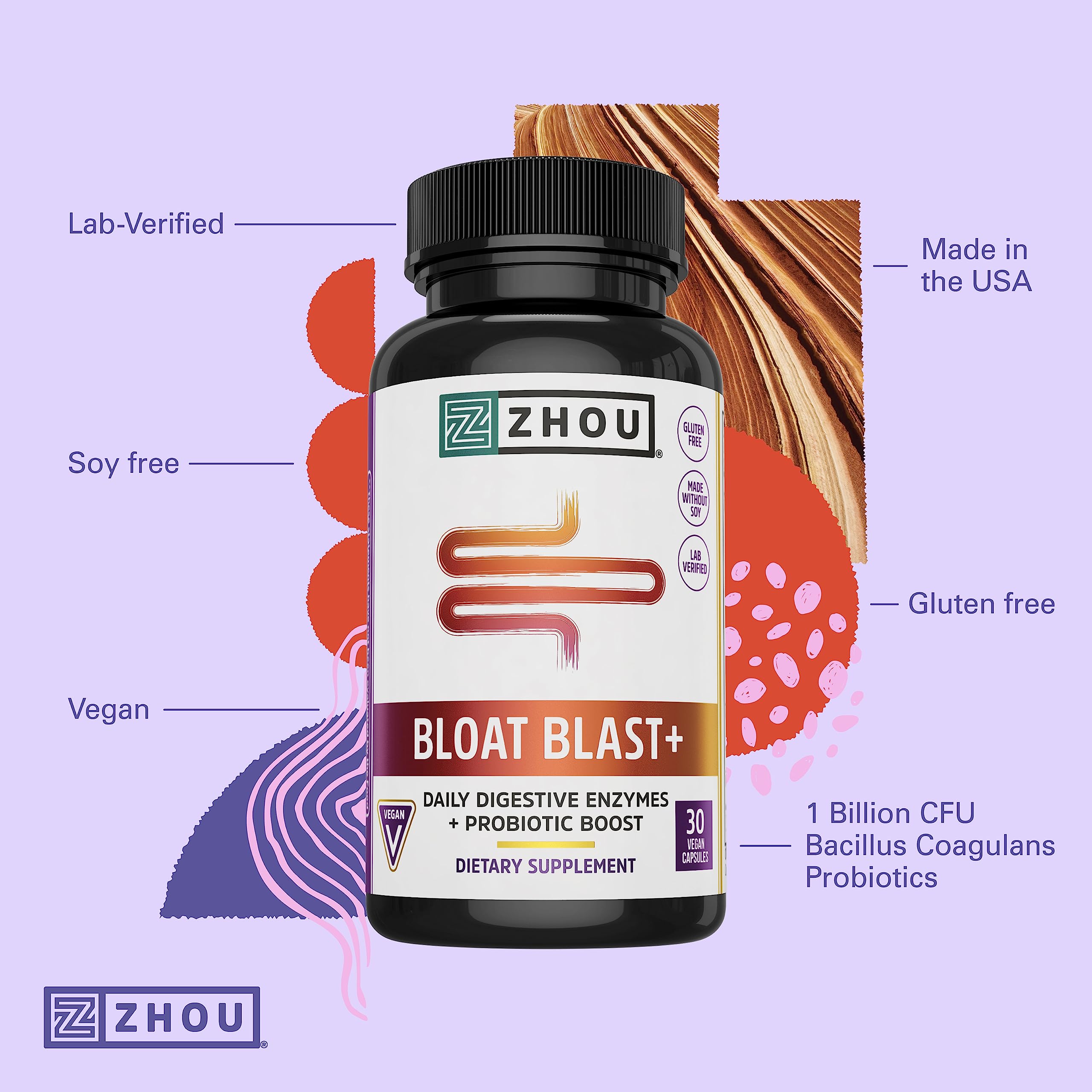 Bacillus Coagulans probiotic capsule detail for daily gut-friendly support