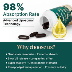 Zingicin liposomal technology diagram illustrating enhanced absorption.