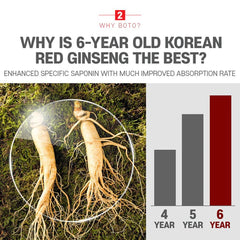 ZIOSTAND BOTO pure formula stick crafted from select Korean red ginseng roots for clean wellness.