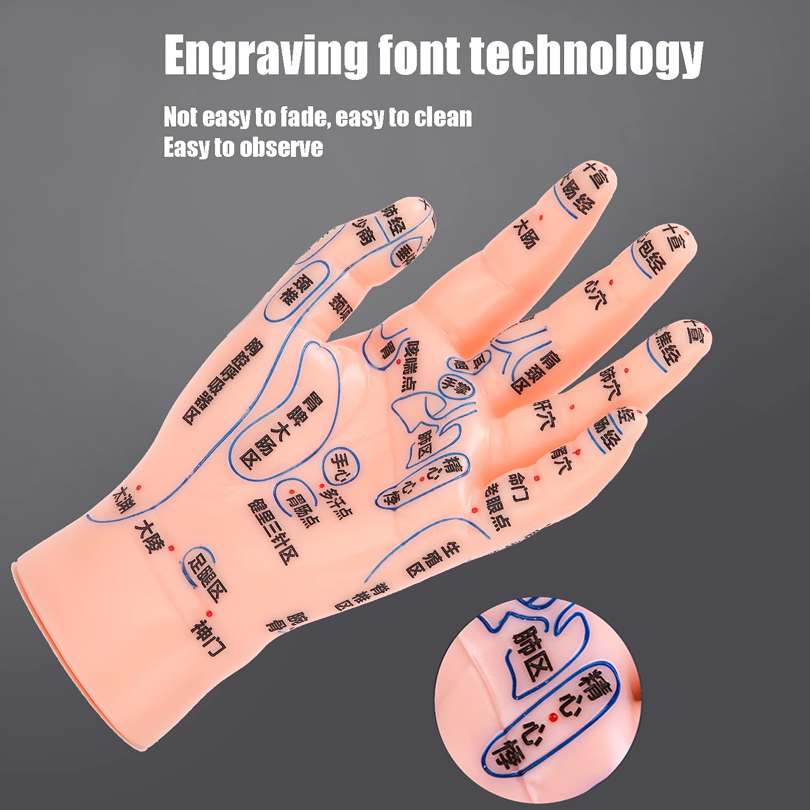 ZJchao hand acupuncture model detail reveals clear point markings and craftsmanship.