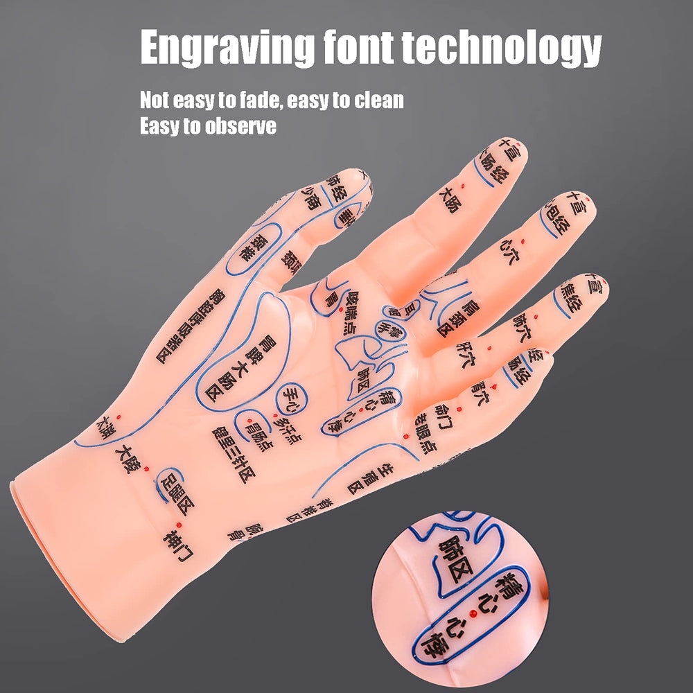 ZJchao hand acupuncture model detail reveals clear point markings and craftsmanship.