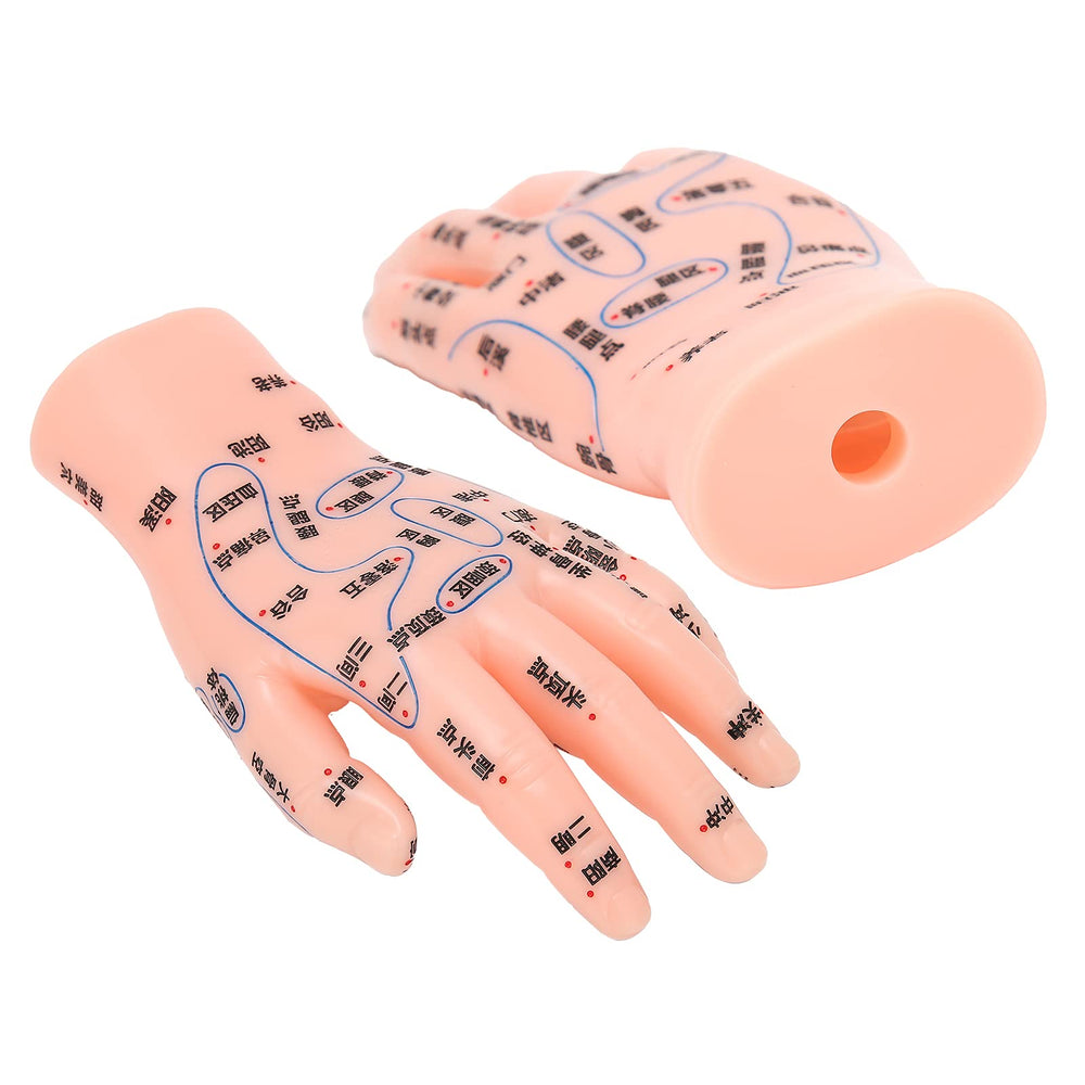 ZJchao hand acupuncture model left hand size aids realistic study.