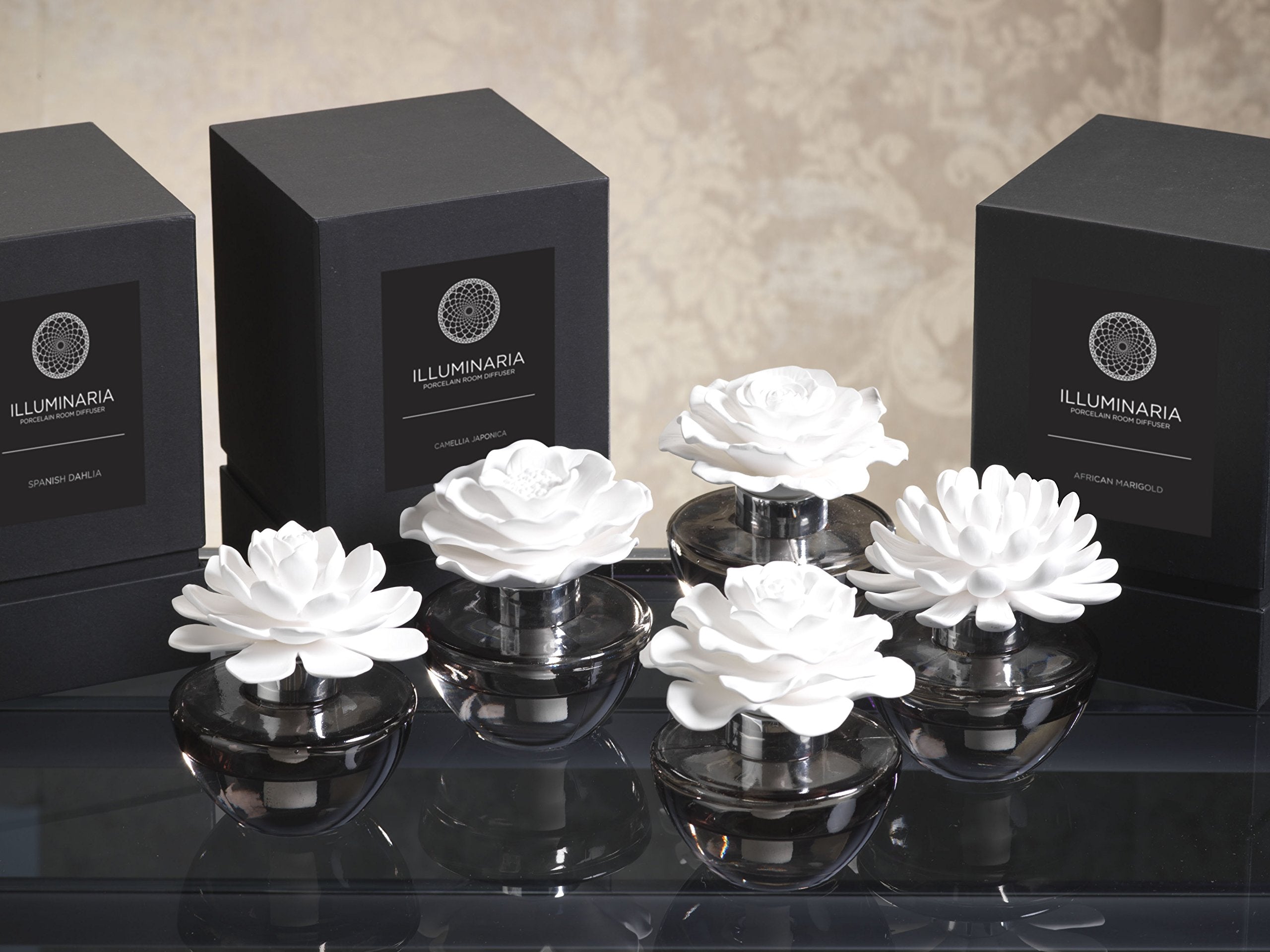 Zodax Illuminaria gray glass bottle diffuser showcases porcelain branches and scent diffusion.
