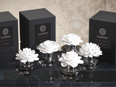 Zodax Illuminaria gray glass bottle diffuser showcases porcelain branches and scent diffusion.