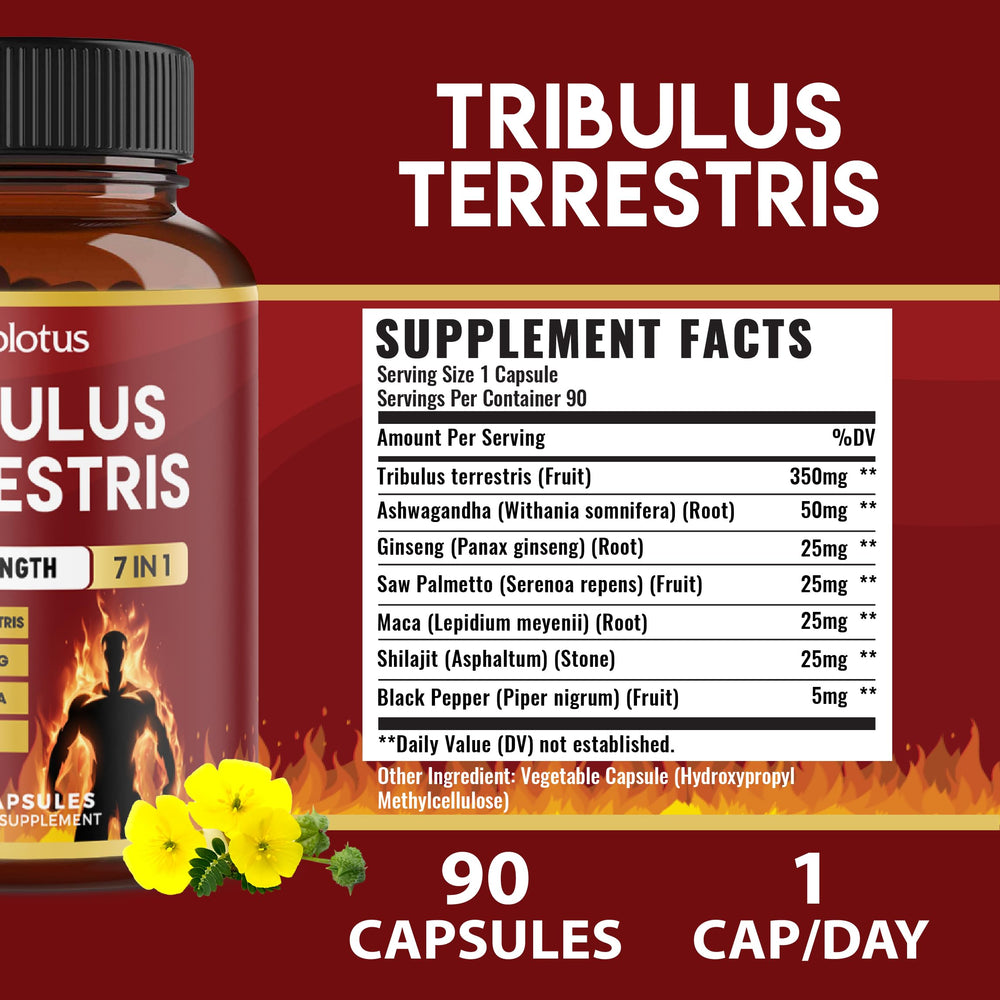 Zolotus blend with Ashwagandha and Panax Ginseng shown visually.