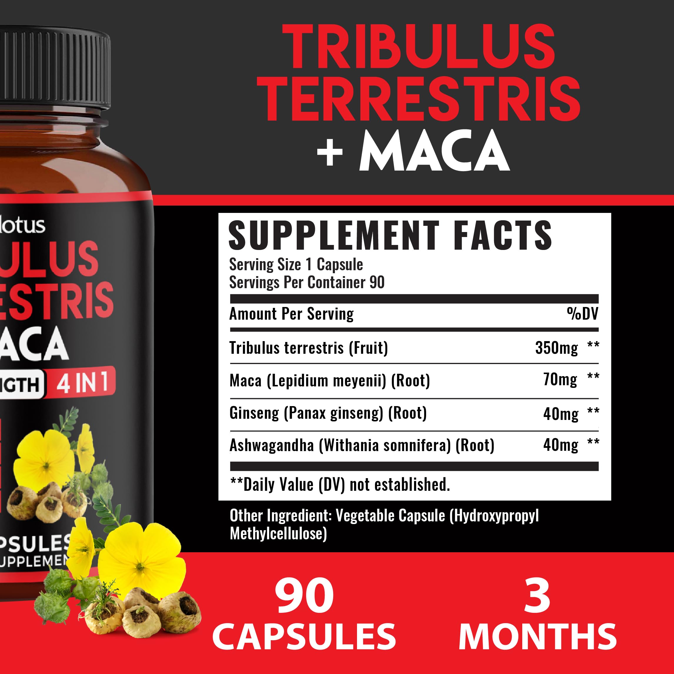 Zolotus Ashwagandha Panax Ginseng Maca capsules for a balanced wellness blend.