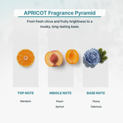 Zone Scent Apricot diffuser oil bottle in action delivering gentle fragrance