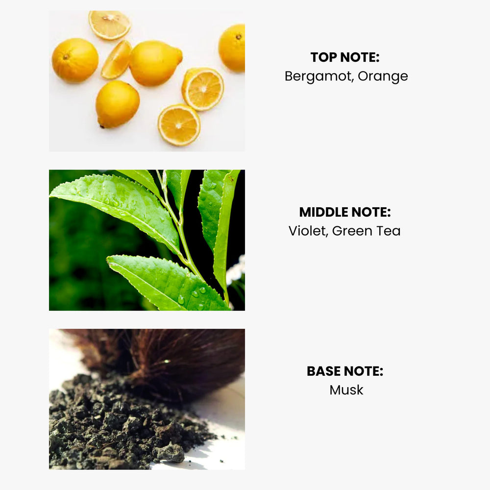 Zone Scent Green Tea diffusion with multiple diffuser types.