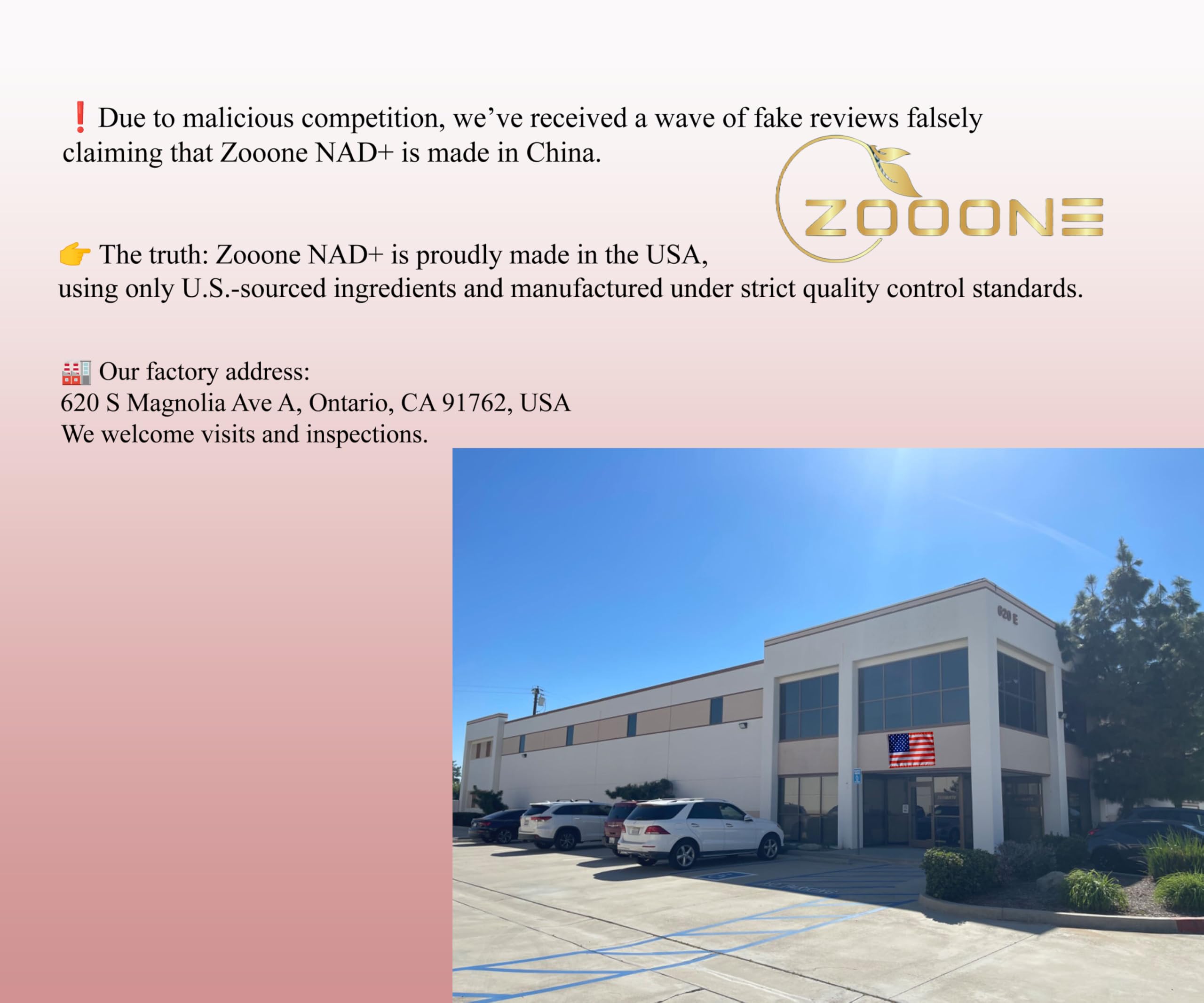 Zooone NAD+ focus on DNA repair and cellular maintenance