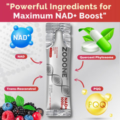 Zooone NAD+ bottle and dosage spoon close-up showing precise daily dosing