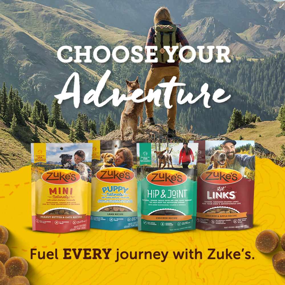 Snack-time moment with Zuke's Mini Naturals Peanut Butter treats during outdoor activities