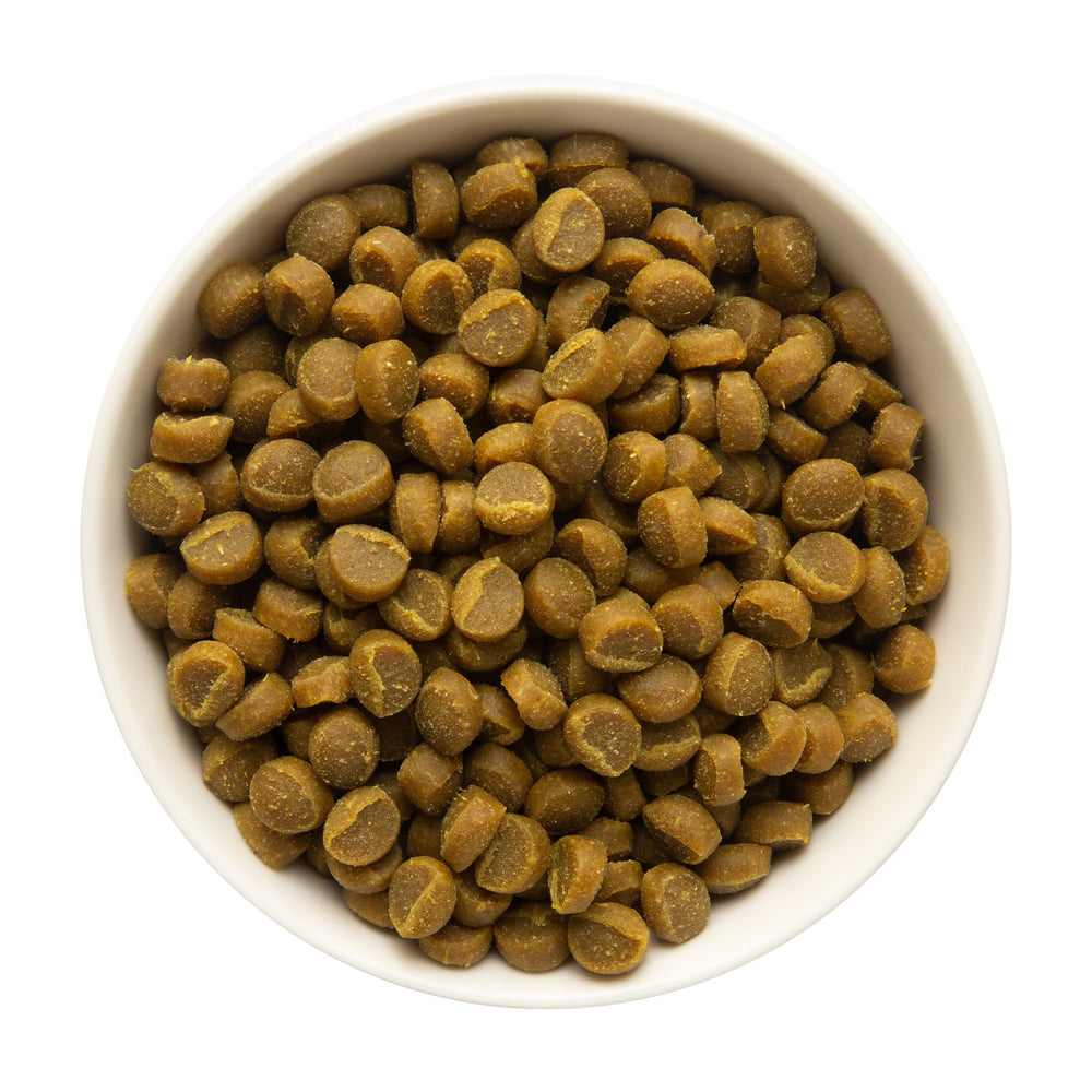 Zuke's Mini Naturals salmón con ingredientes reales para recompensas sabrosas.