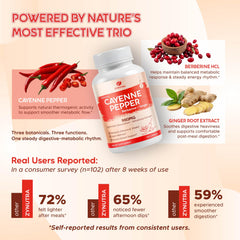 ZYNUTRA ginger digestive-support capsules emphasizing digestive comfort and gentle botanicals