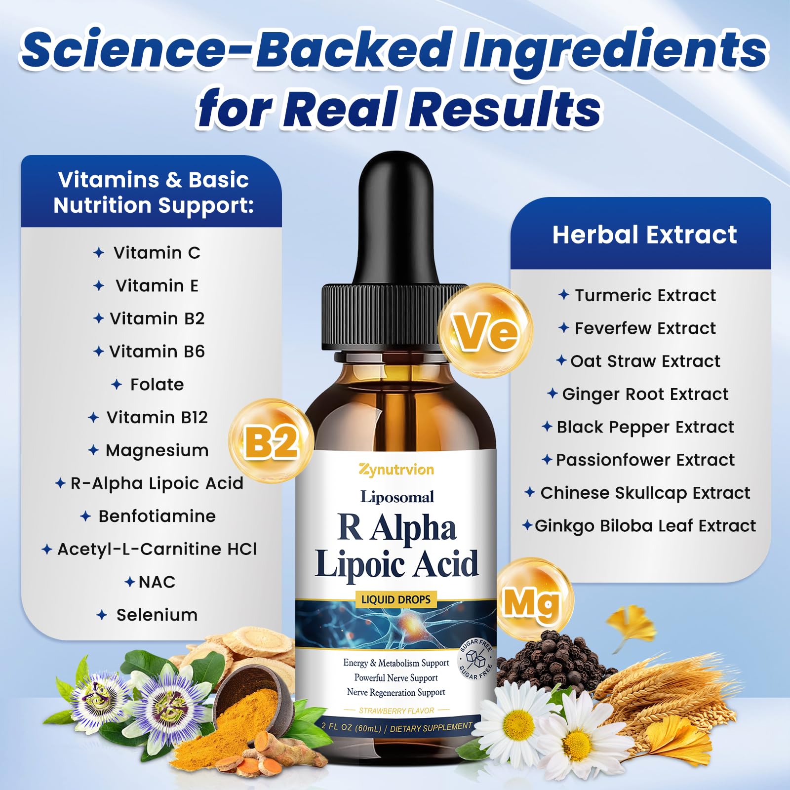 Zynutrvion ingredient blend visual highlights antioxidant support for daily wellness.