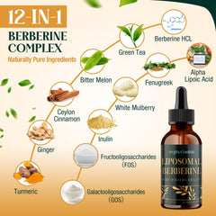 Zypherionixis berberine drops under-tongue use visual for fast absorption.