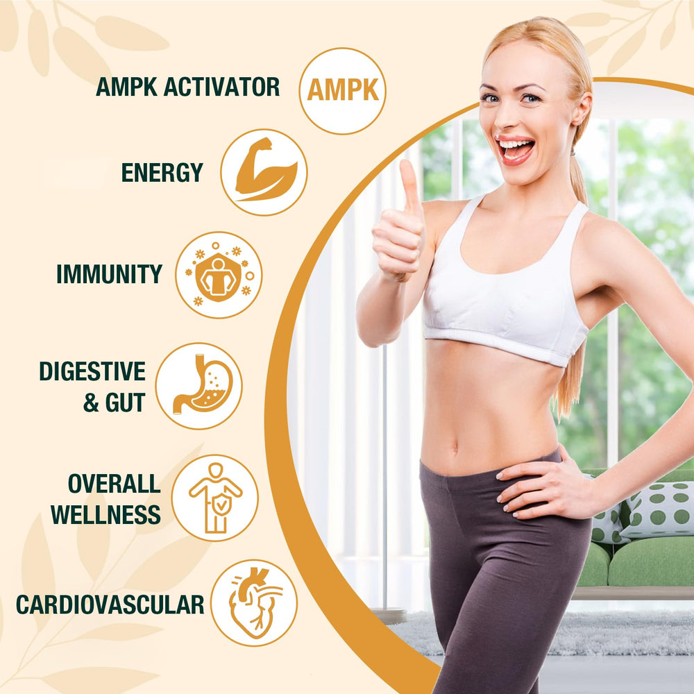 Zypherionixis prebiotic ginger-infused berberine drops for gut-friendly comfort