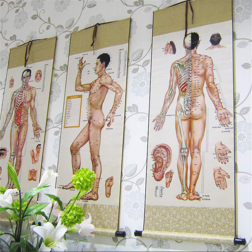 Zzooi acupuncture diagram scroll shows complete Chinese edition for reference