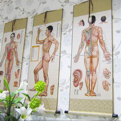 Zzooi acupuncture diagram scroll shows complete Chinese edition for reference