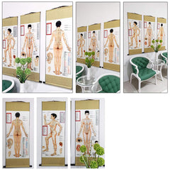 Zzooi silk poster features clear illustrations ready to hang in spaces