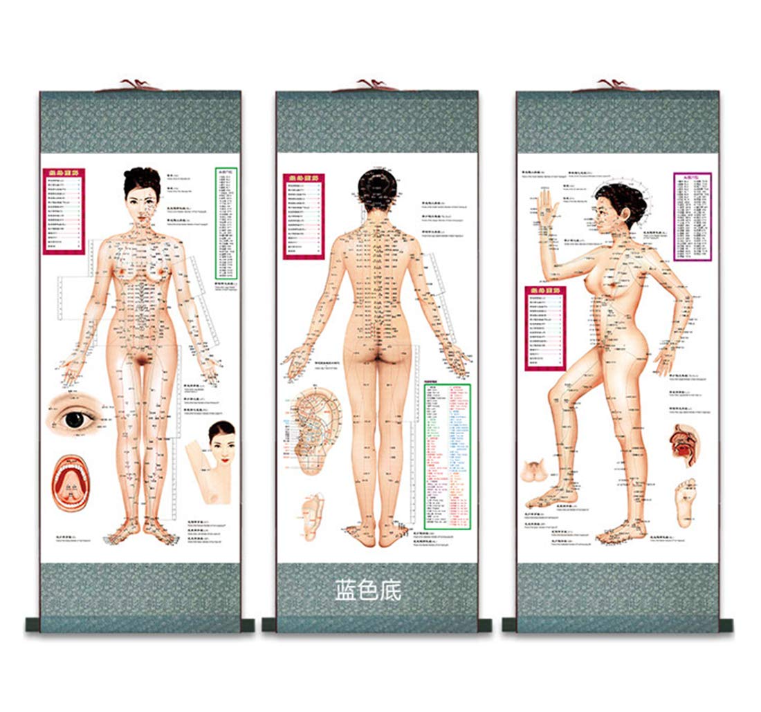 Zzooi educational poster supports self-study and reference at a glance