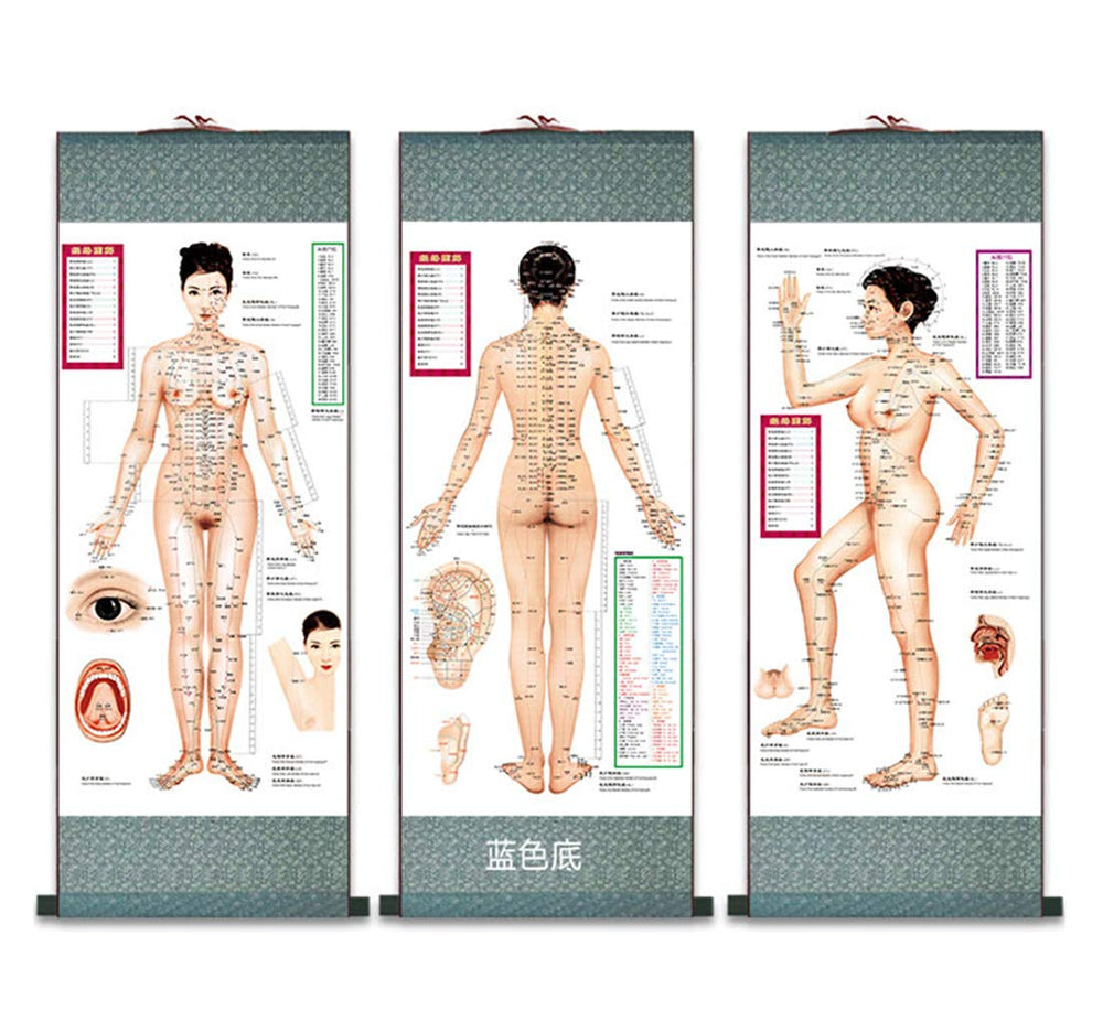 Zzooi educational poster supports self-study and reference at a glance